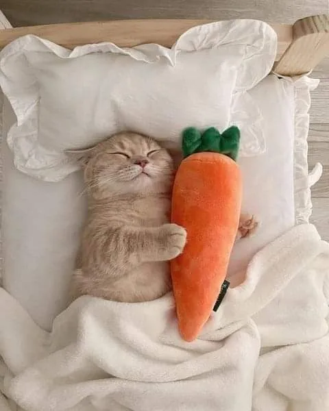 다시시작
