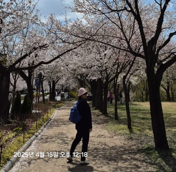 미미62여