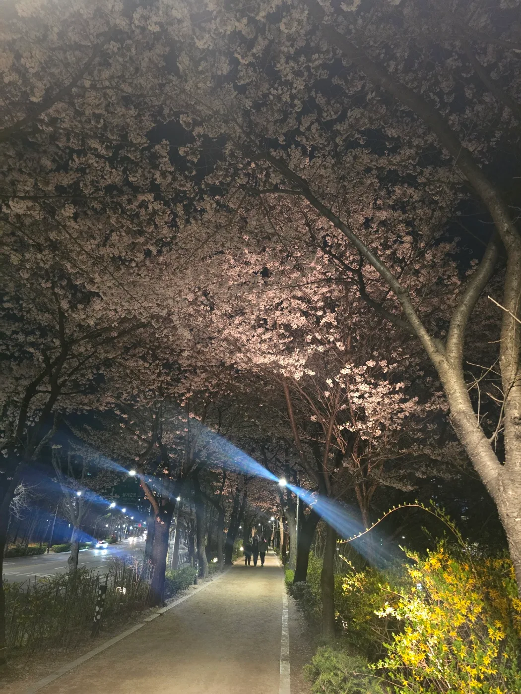 프로아닌김프로