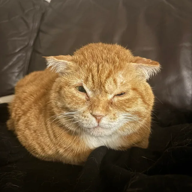 온싱이