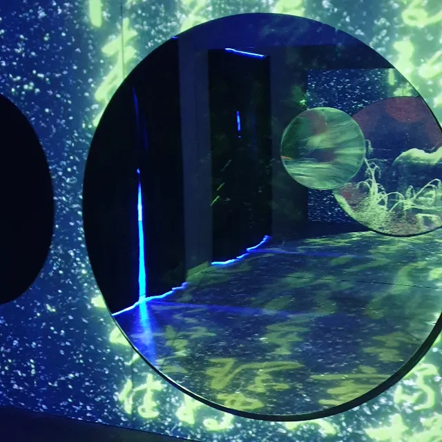 영광50