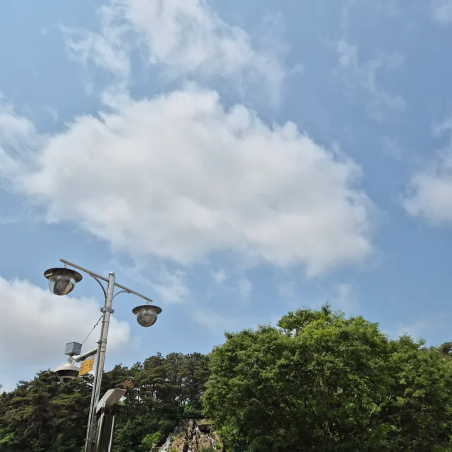 당근이지