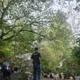 푸른정우조경