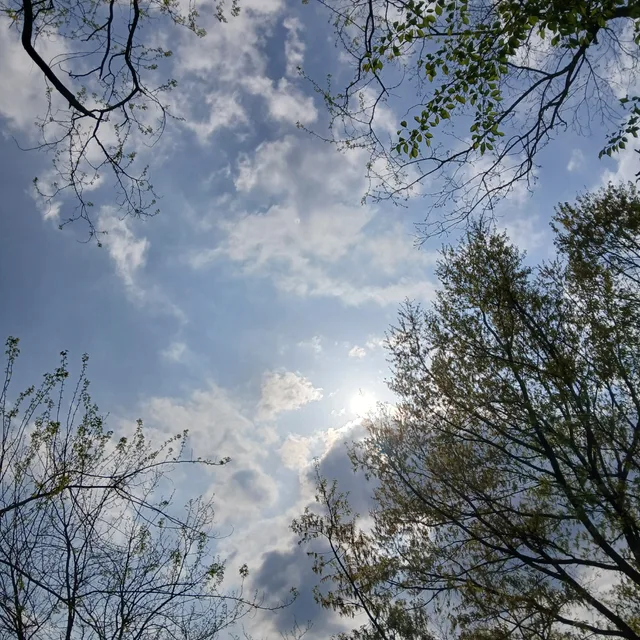 케이