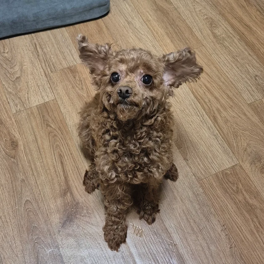 카페물품8월20일까지만