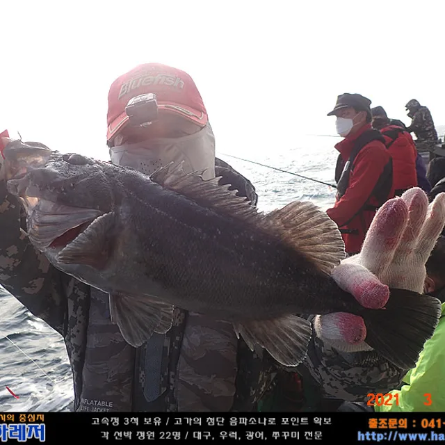 세상소리