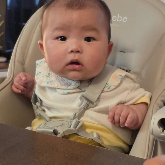 레이송