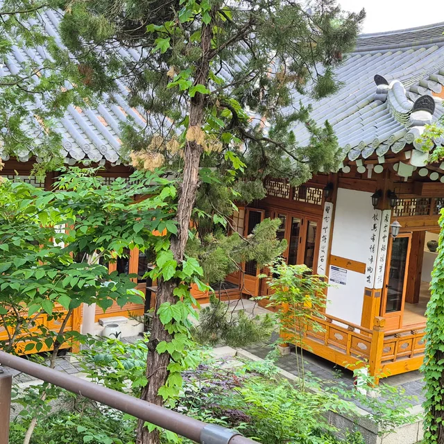 편안한일상