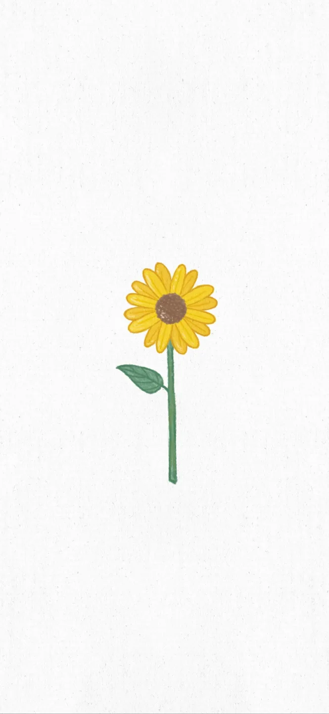 요니