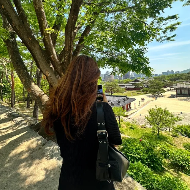 로주맴