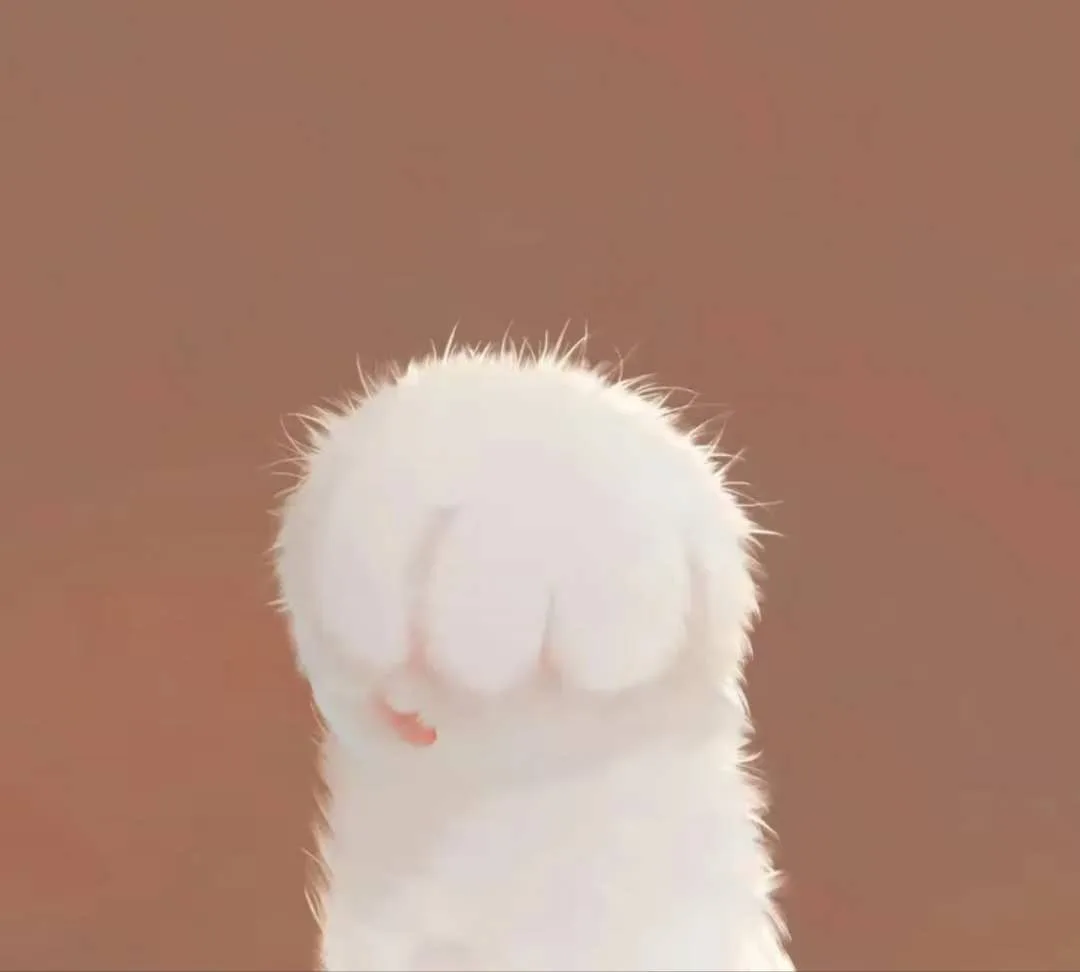 귤이