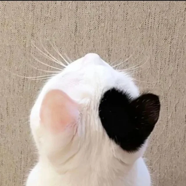 오리오리오