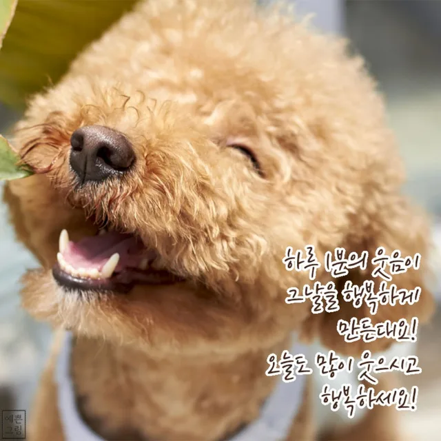 아름