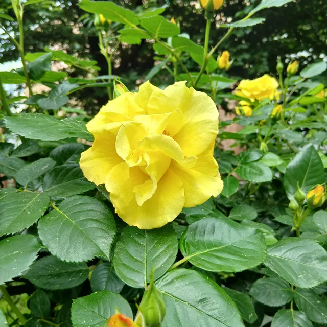 당근이좋아
