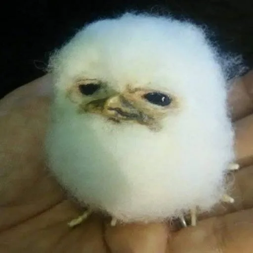 필디