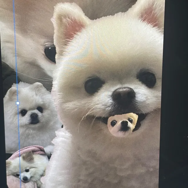 킹이
