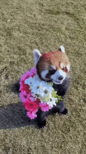 네고없을껄요