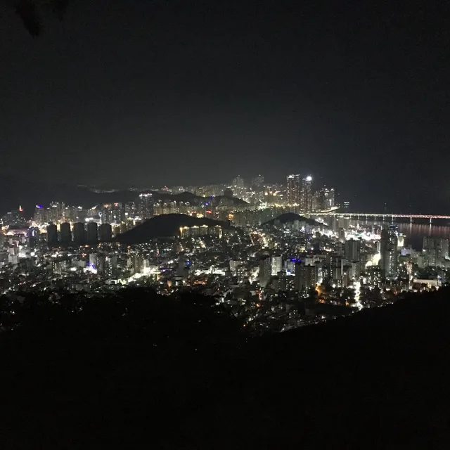 매너는당그니지