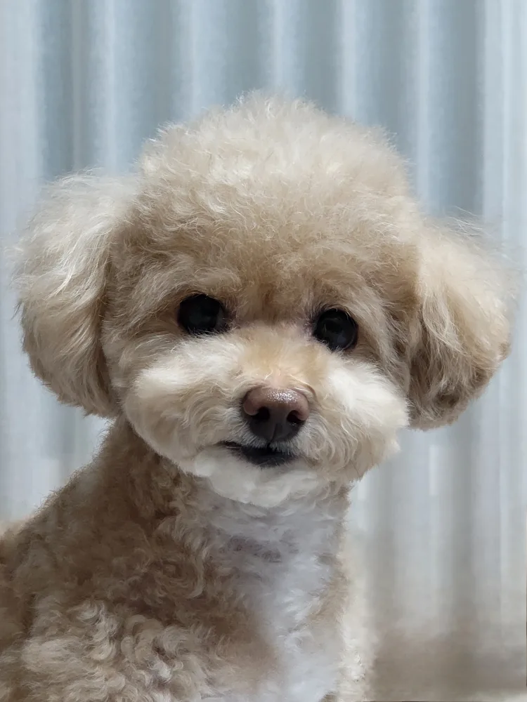 럭키엄니