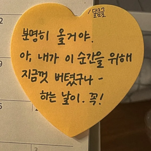 정리베테랑