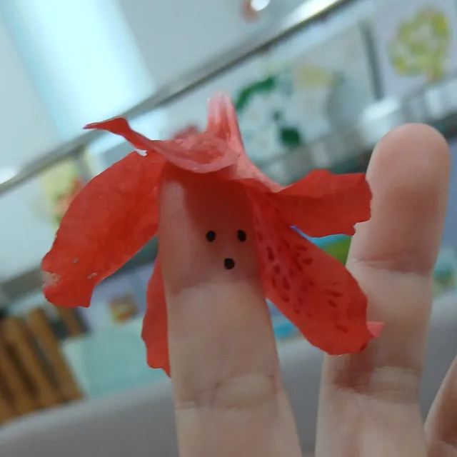 안냥
