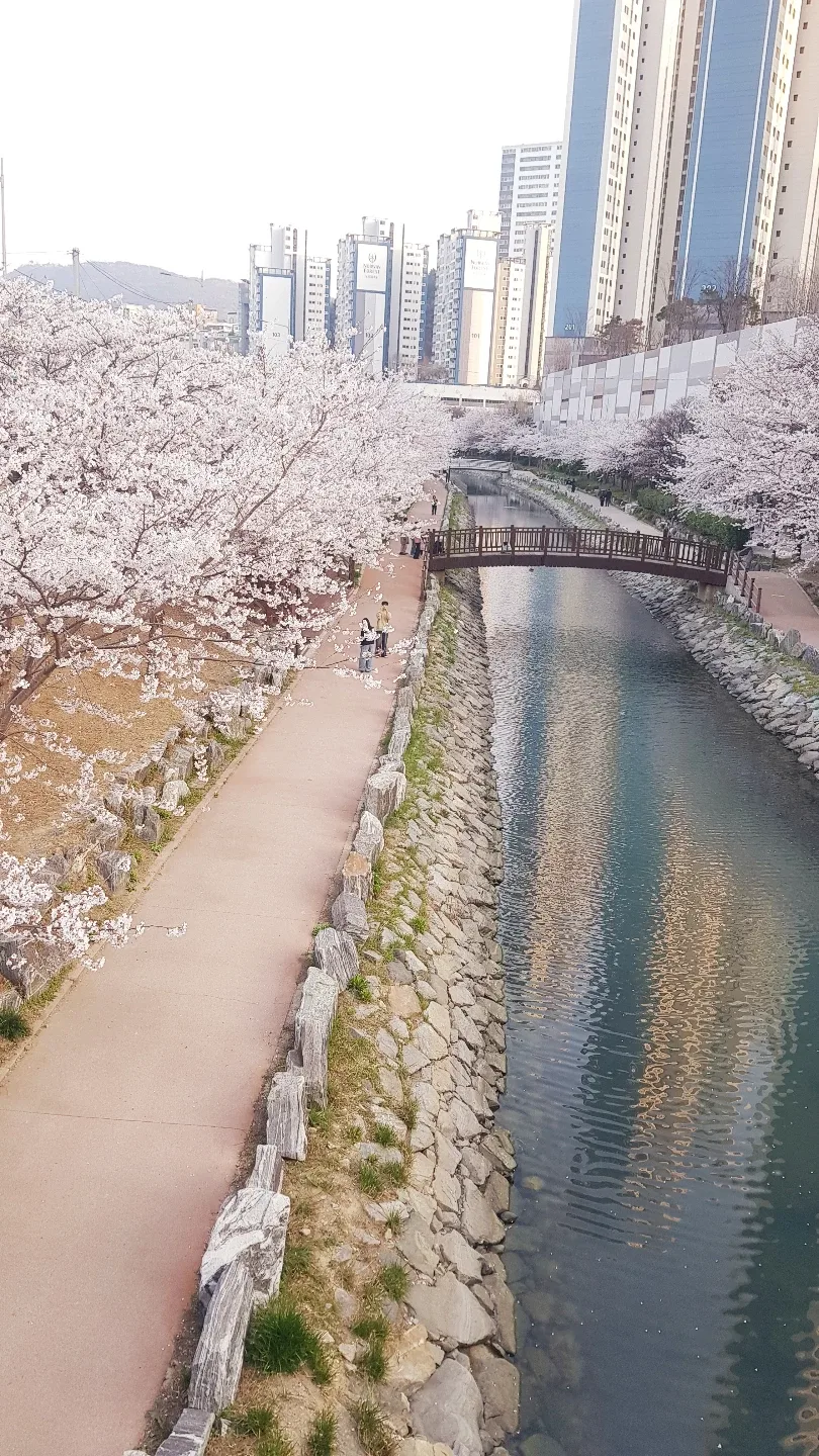 펭펭