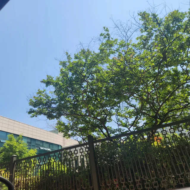바르게살자