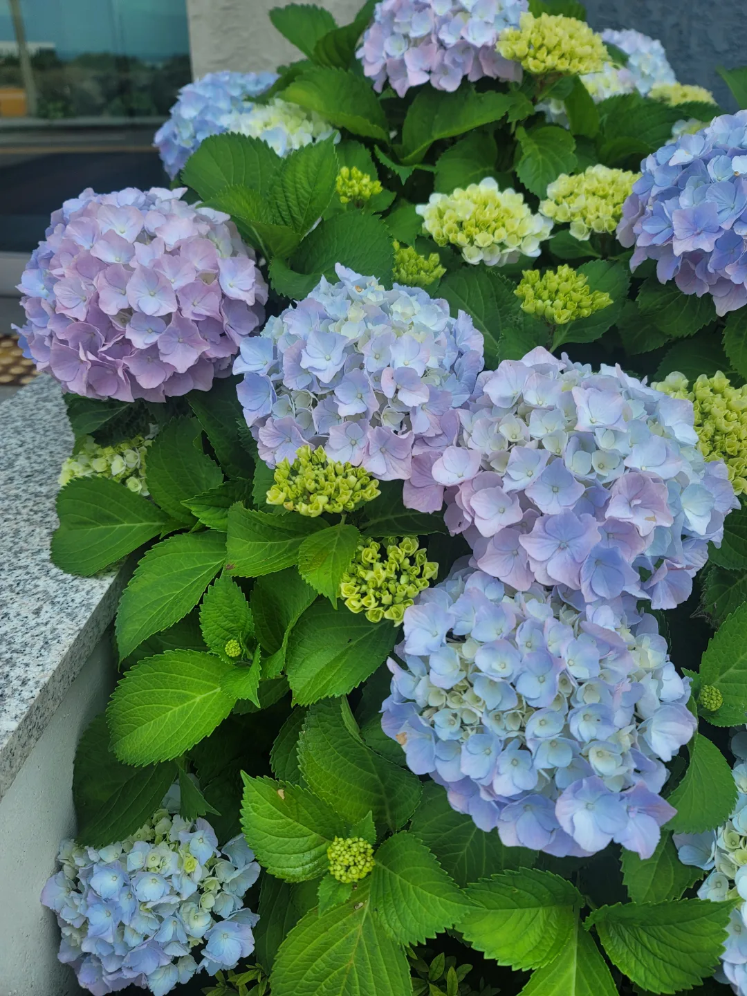 감사하며살자