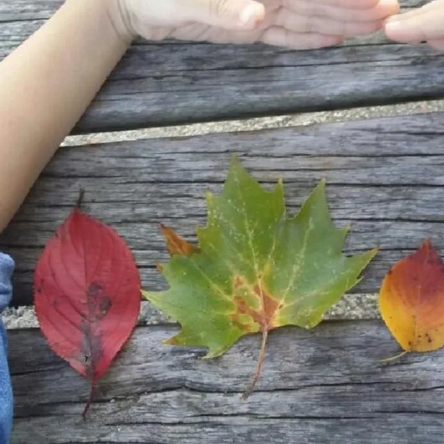 주고받고