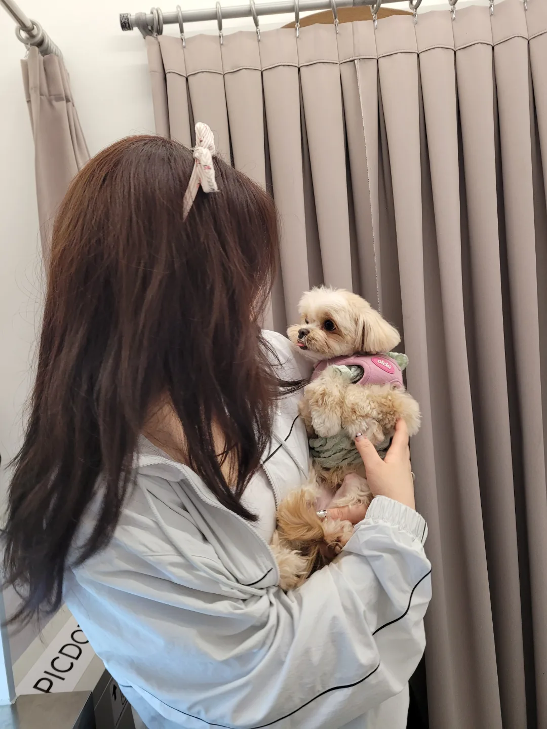 채채
