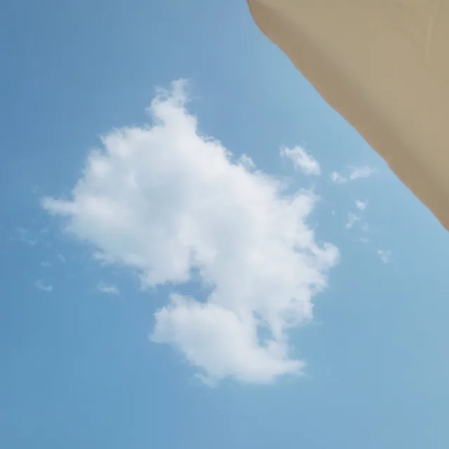김꼬맹