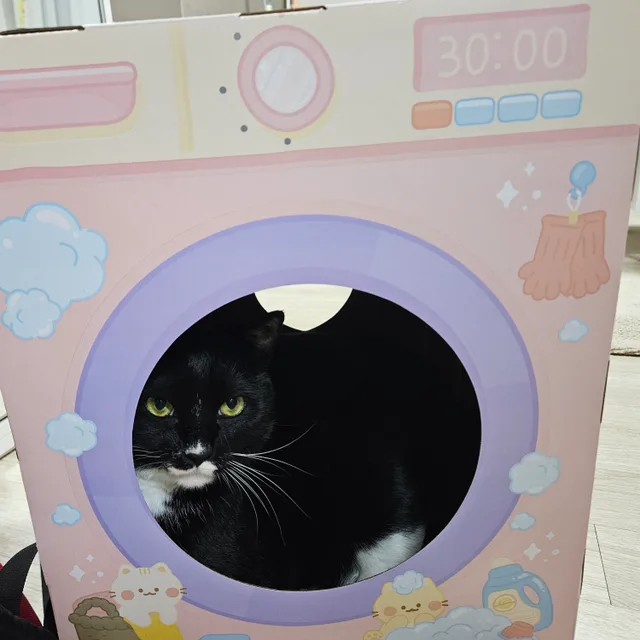 꾸까아빠
