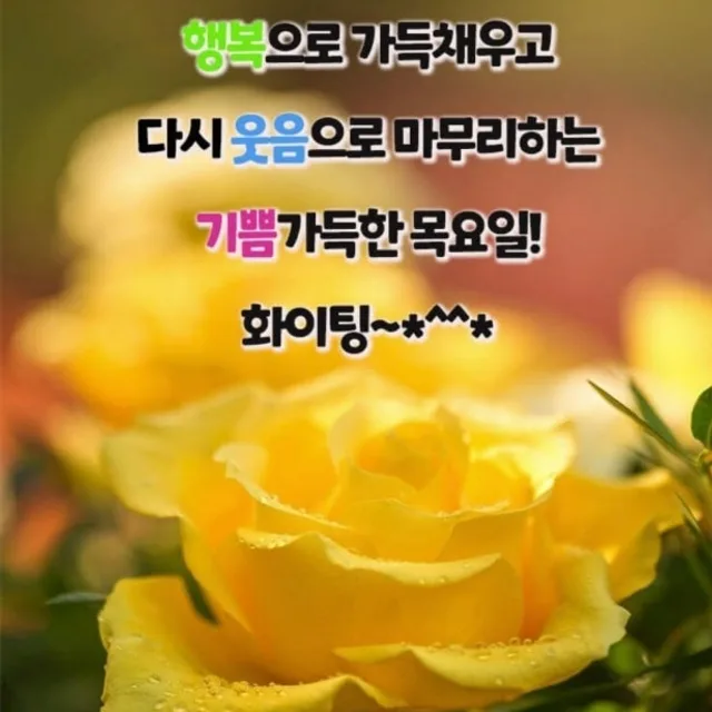 오늘하루