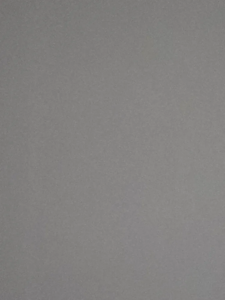 김거성
