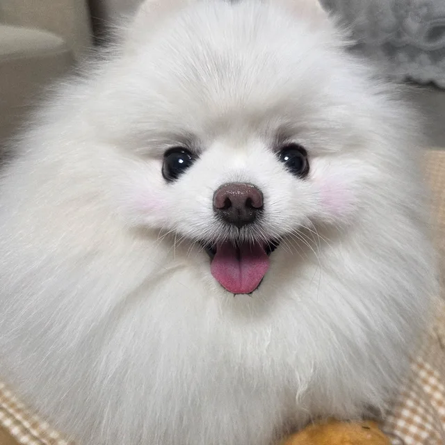 당근멍