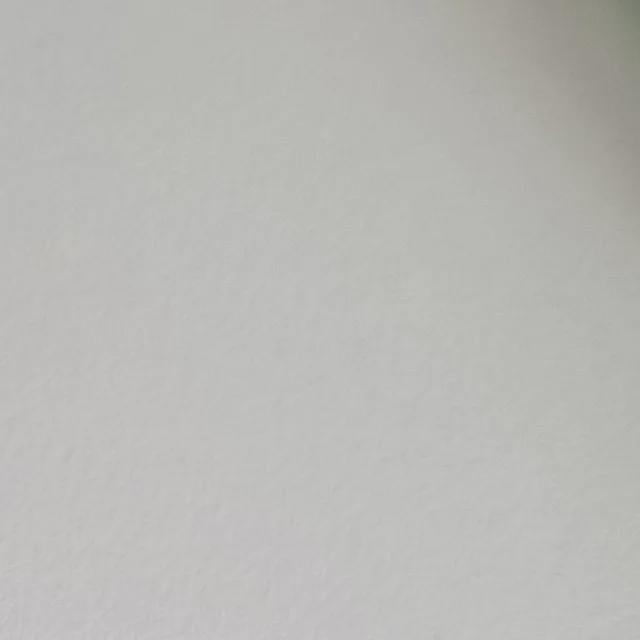 치똬꾸해호