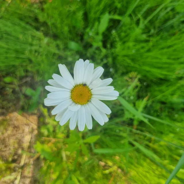 한방이얍