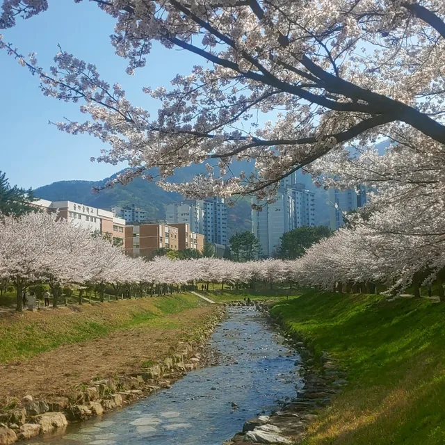 이키나