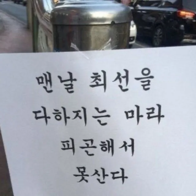 딸기