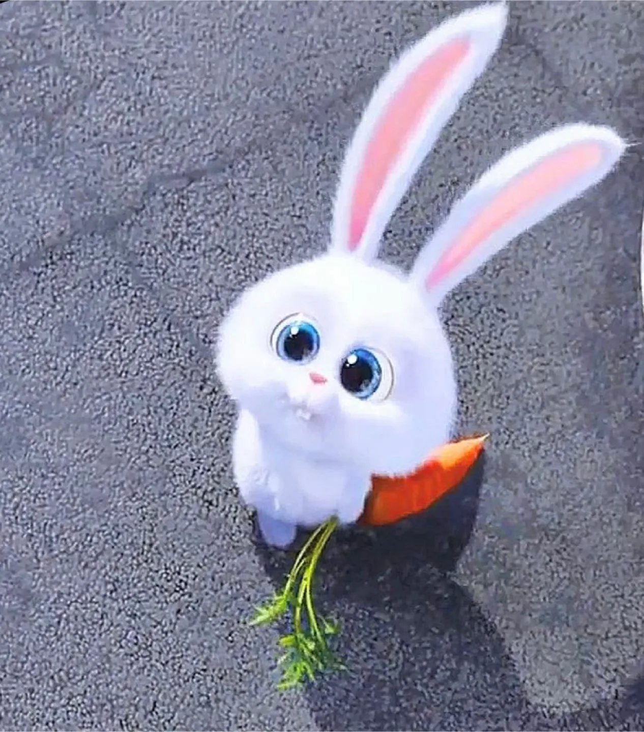snowball