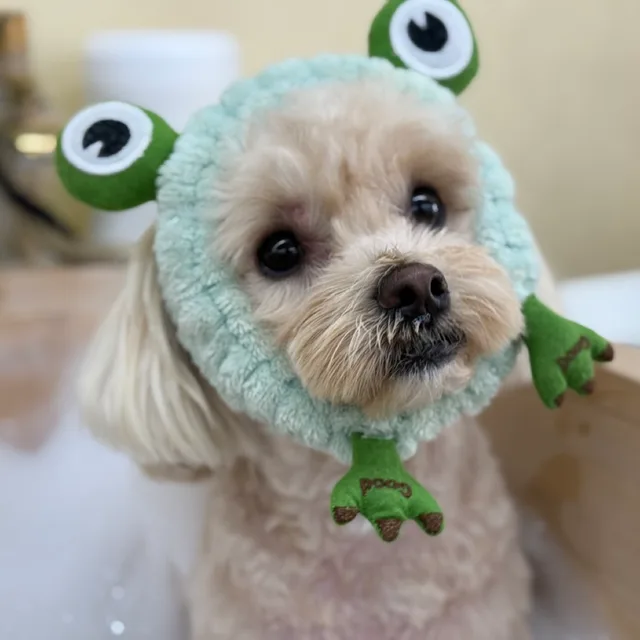 제티