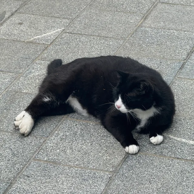 초코초코