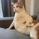 롤로노아박동현