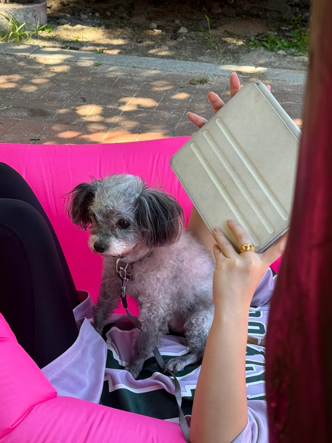 먼지이모