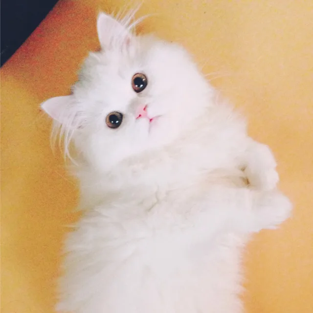 램린