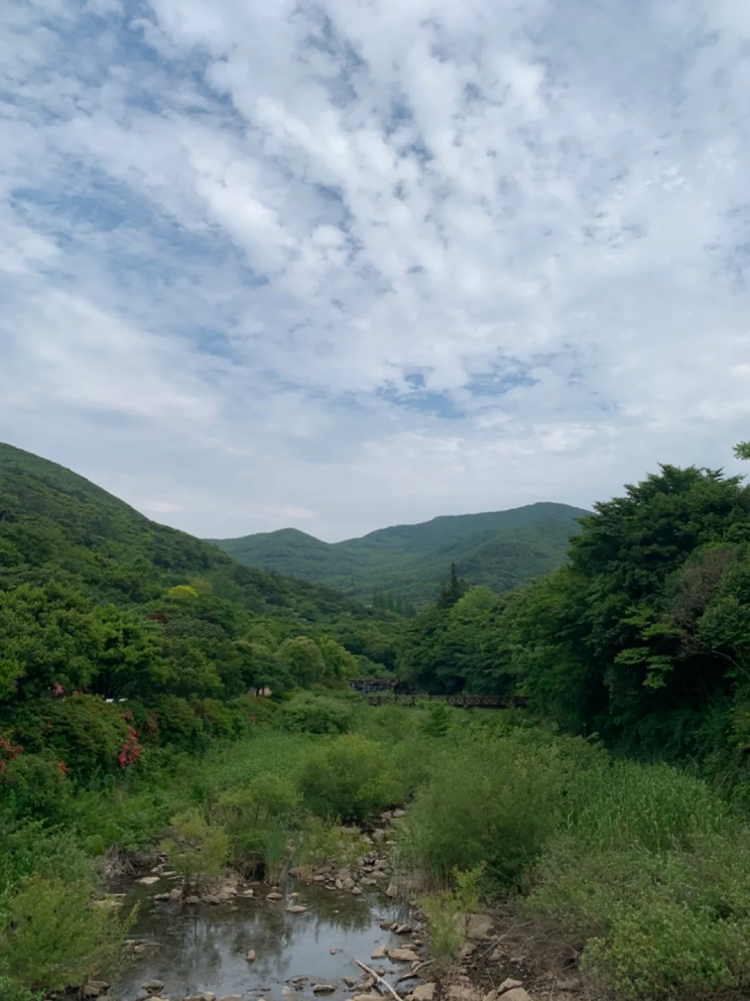 순두부
