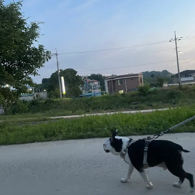 쿠바