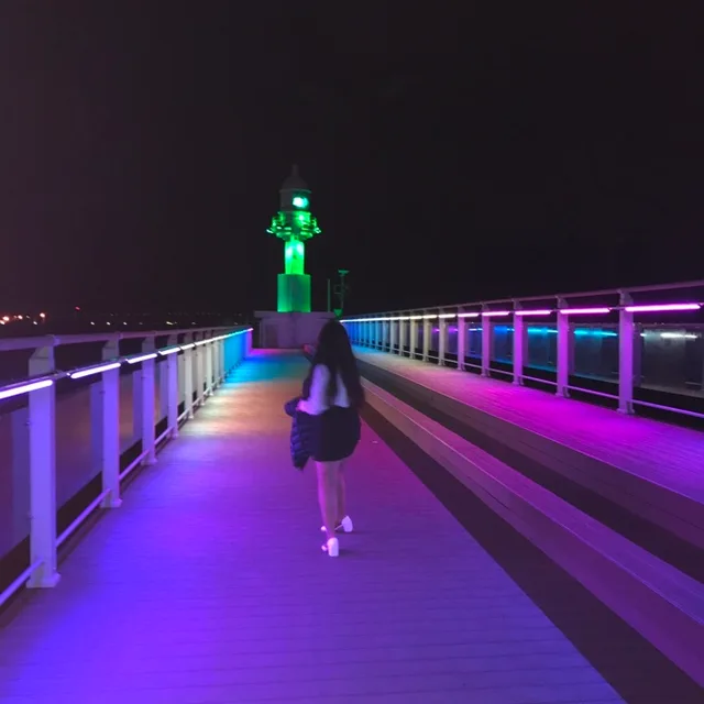 솔라