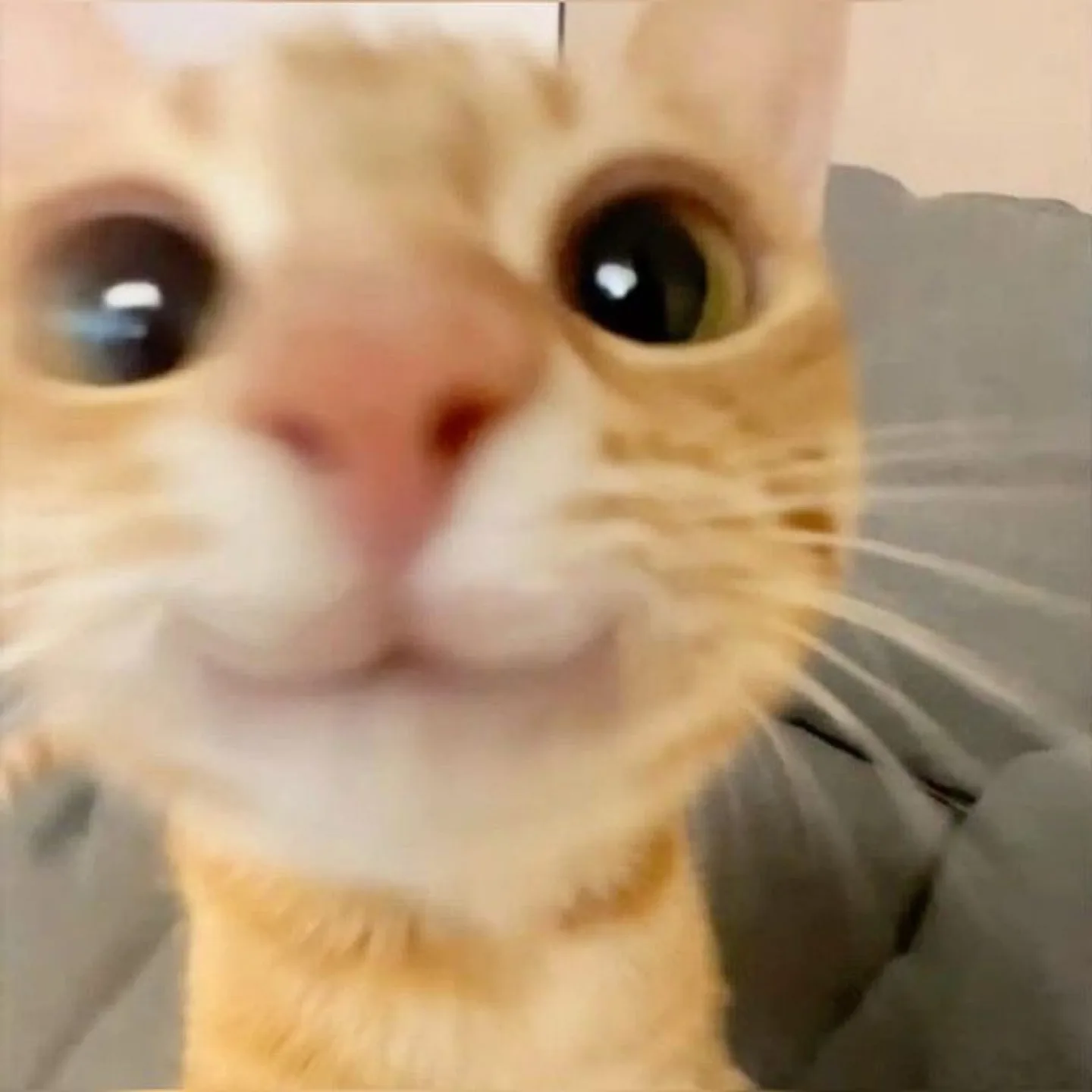 토토