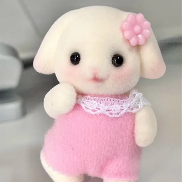썬칩은못말려